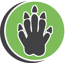 TJs Dead Animal Pick Up