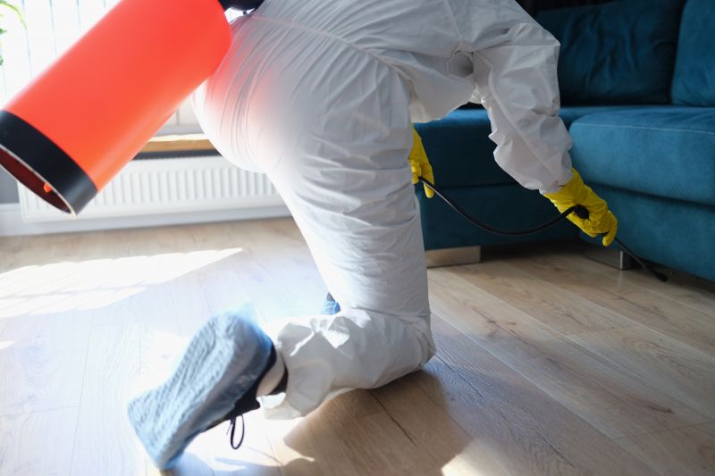 Mites Extermination in Frisco, TX