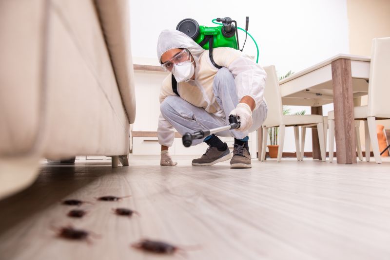 Residential Pest Control in Katy, TX