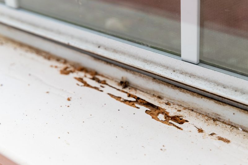 Wdo Inspection Service in Katy, TX